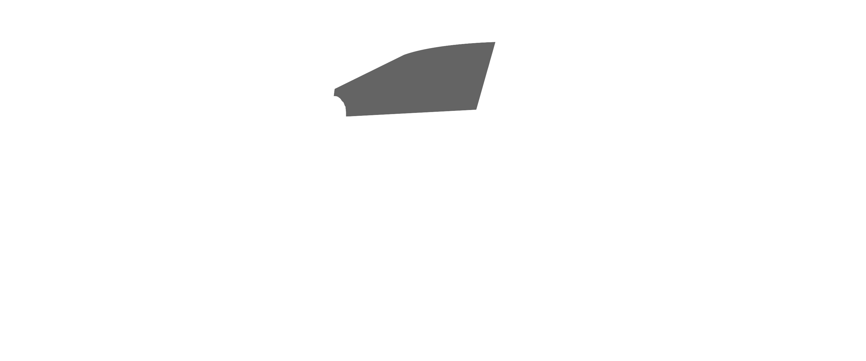 HP Charcoal 32